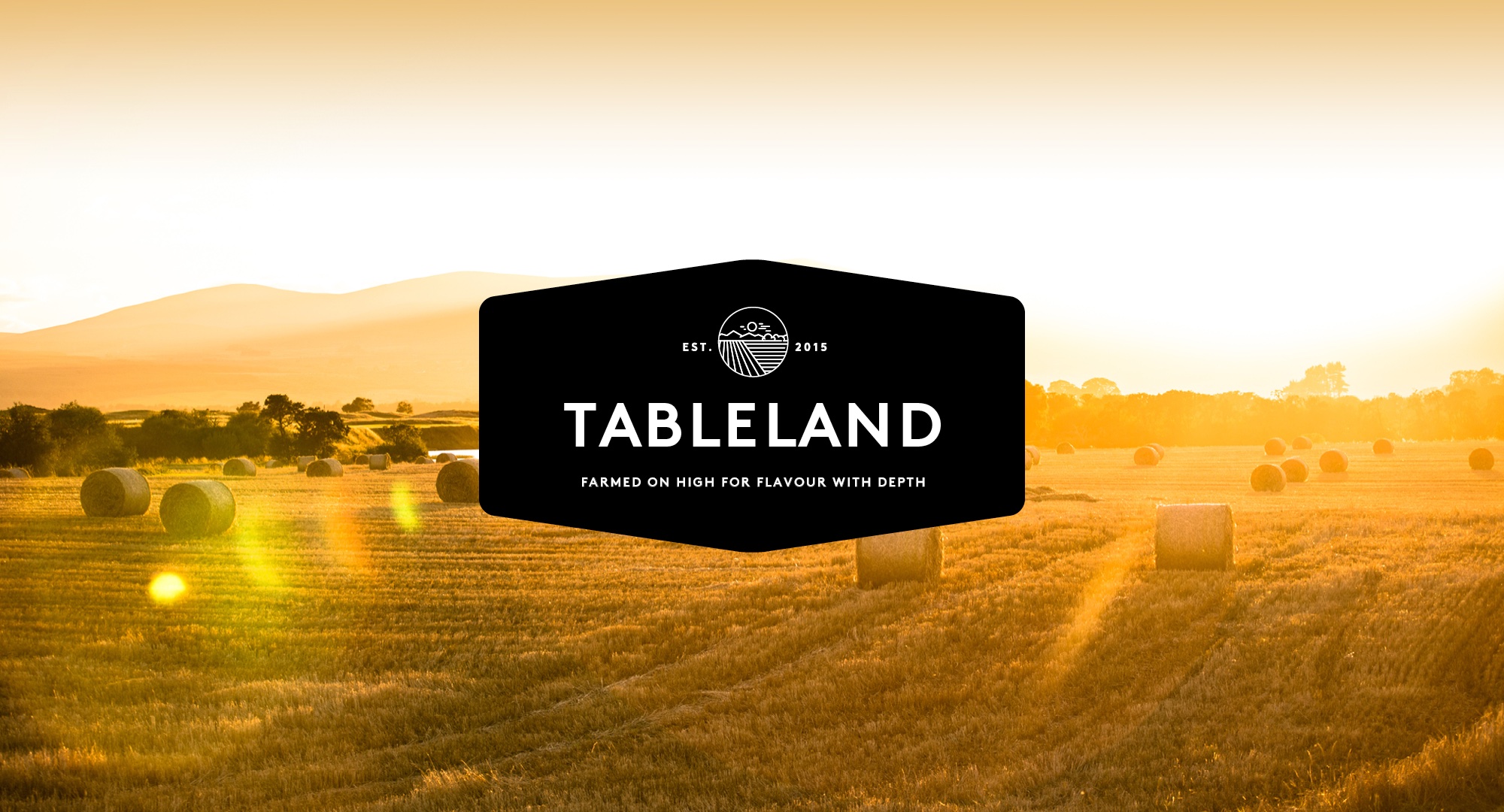 Bindaree Food Group | Tableland